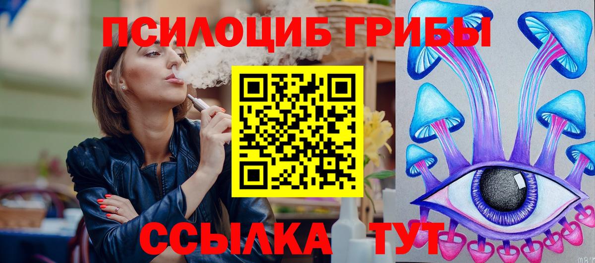 Туймазы  Псилоцибиновые грибы Psilocybe  Вход с VPN 