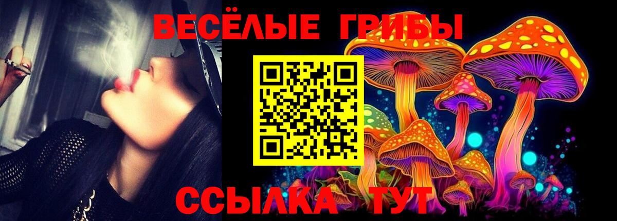 Псилоцибиновые грибы Psilocybe Туймазы